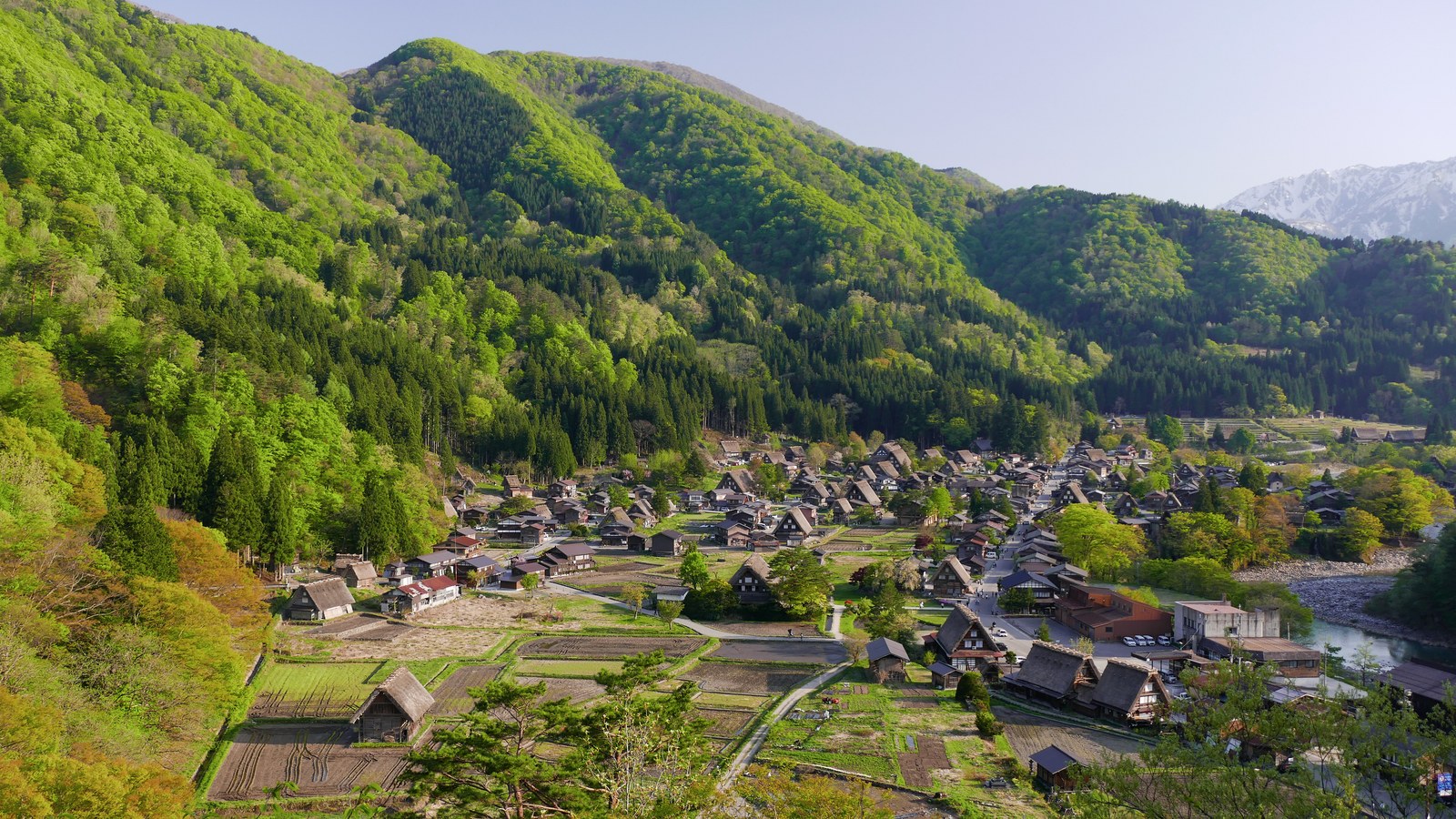 Gassho-zukuri thatched farmhouses in Shirakawa-go village, Gifu, Japan, seen from above with green mountains and a snow-capped peak behind them.