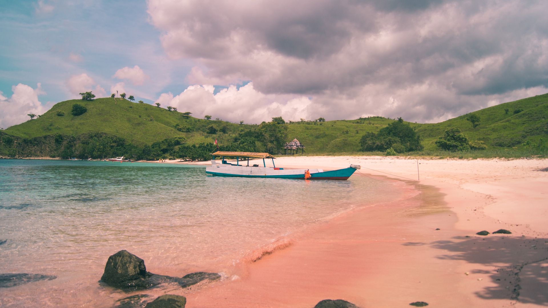 Pink Sand Beach Bahamas: Complete Visitor Guide