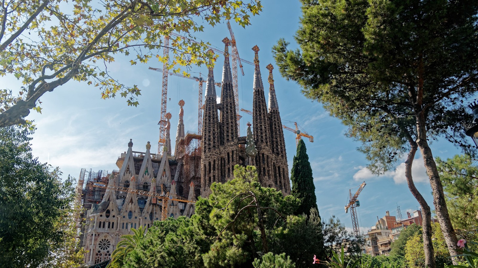 The Sagrada Familia in Barcelona, its bell towers and facades rising above the trees of Placa de Gaudi under a blue sky, with construction cranes behind the spires