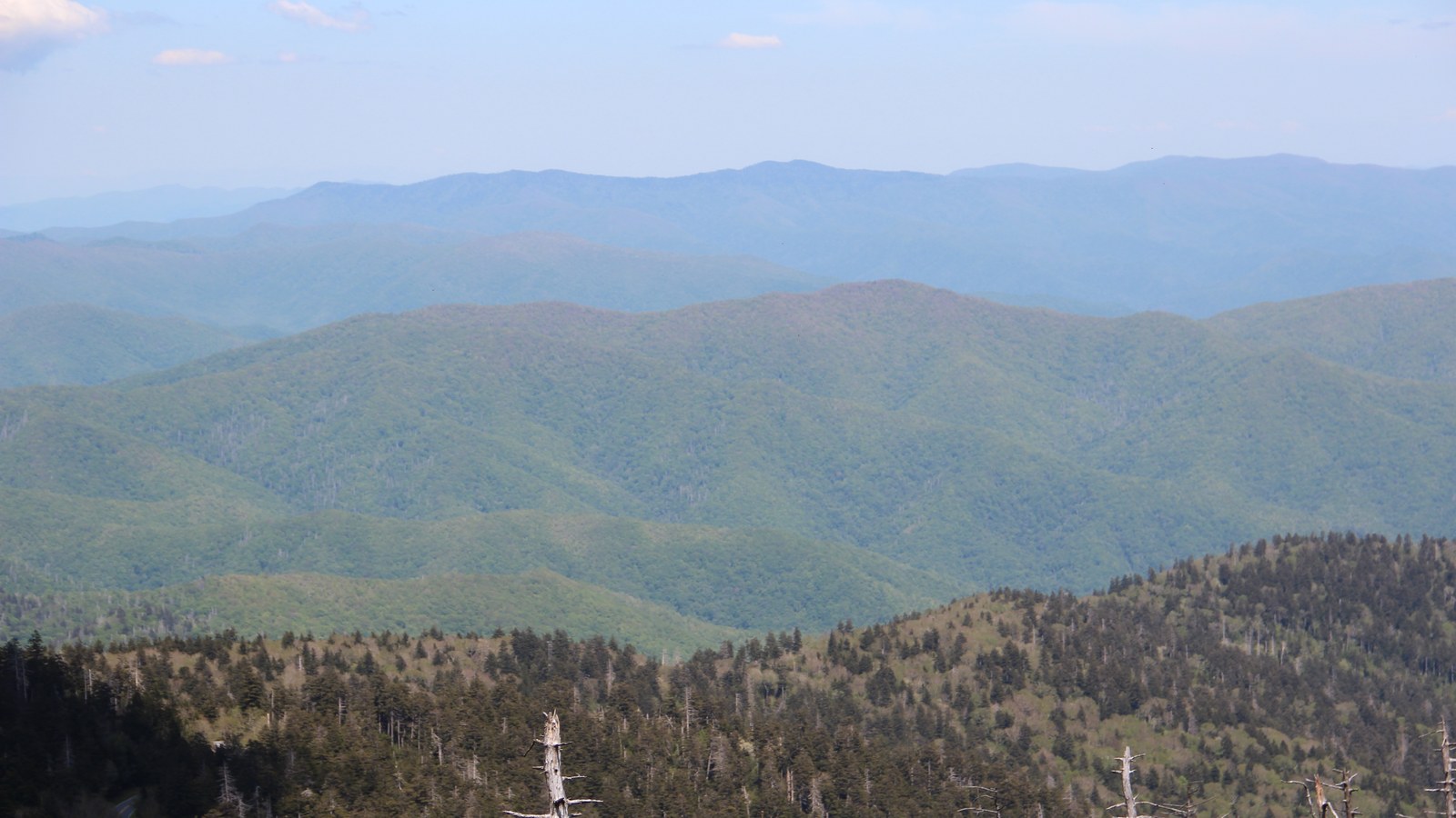 Layered forested ridges of the Balsam Mountains fading from green to blue haze, seen from Clingmans Dome in Great Smoky Mountains National Park
