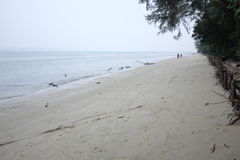 How to Get to Coney Island Singapore